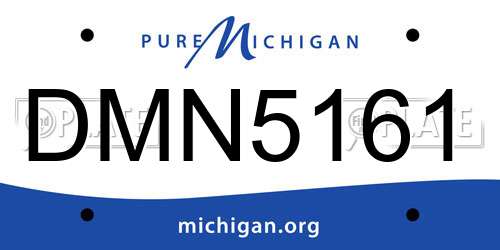DMN5161 Michigan License Plate