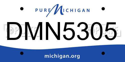 DMN5305 Michigan License Plate