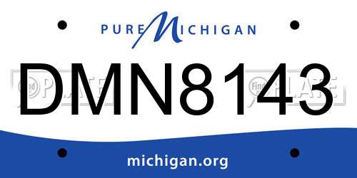 DMN8143 Michigan License Plate