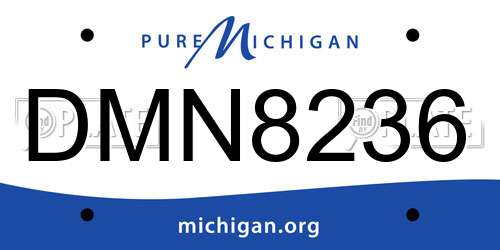 DMN8236 Michigan License Plate