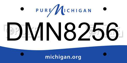 DMN8256 Michigan License Plate
