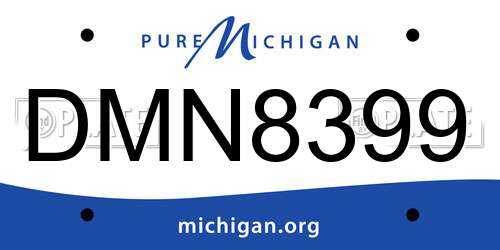 DMN8399 Michigan License Plate