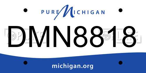 DMN8818 Michigan License Plate