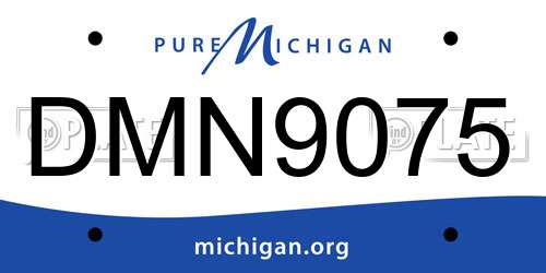 DMN9075 Michigan License Plate