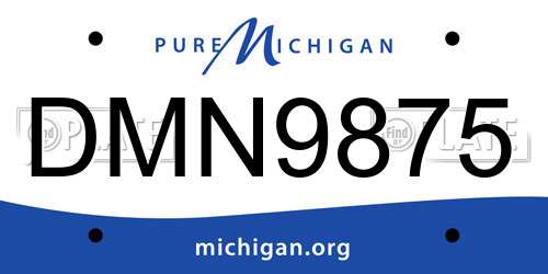 DMN9875 Michigan License Plate