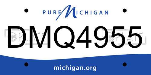 DMQ4955 Michigan License Plate
