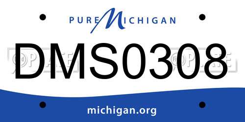 DMS0308 Michigan License Plate
