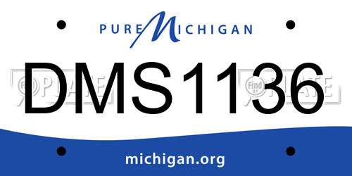 DMS1136 Michigan License Plate