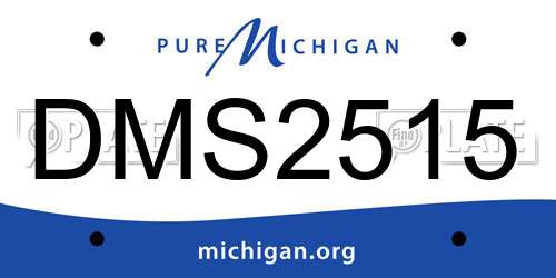 DMS2515 Michigan License Plate