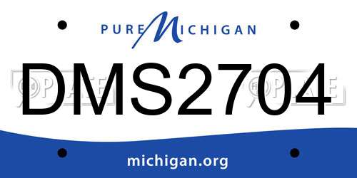DMS2704 Michigan License Plate