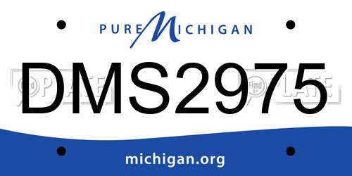DMS2975 Michigan License Plate