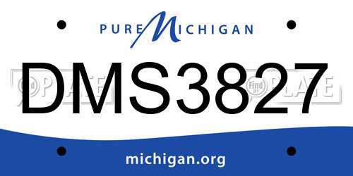 DMS3827 Michigan License Plate