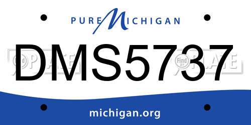 DMS5737 Michigan License Plate