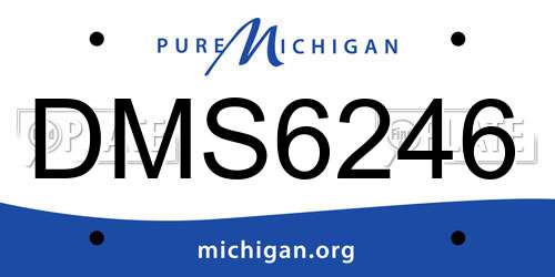DMS6246 Michigan License Plate