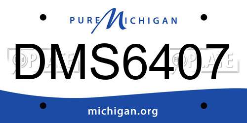DMS6407 Michigan License Plate