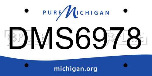 DMS6978 Michigan License Plate