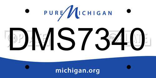 DMS7340 Michigan License Plate