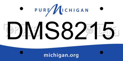DMS8215 Michigan License Plate