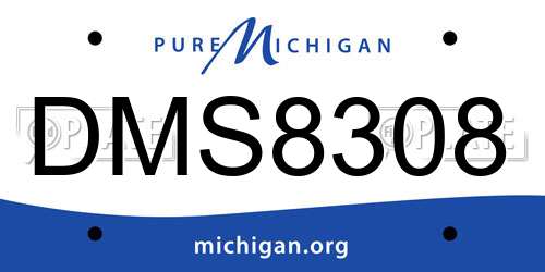 DMS8308 Michigan License Plate