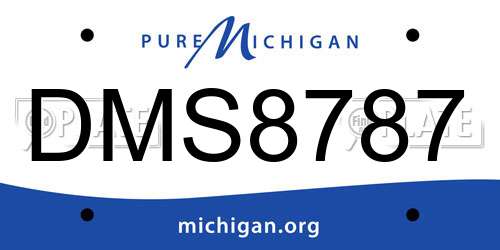 DMS8787 Michigan License Plate
