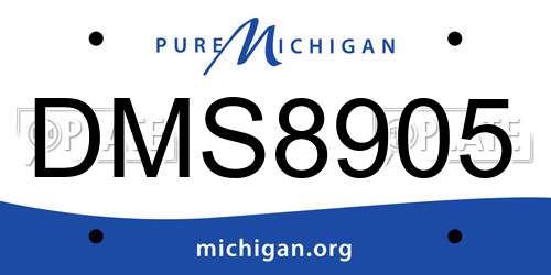 DMS8905 Michigan License Plate