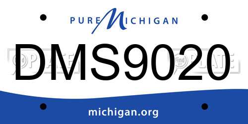 DMS9020 Michigan License Plate