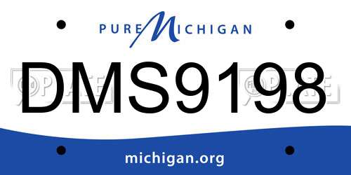 DMS9198 Michigan License Plate