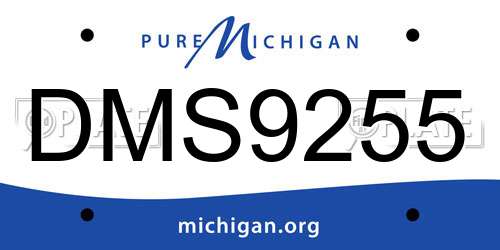 DMS9255 Michigan License Plate