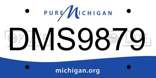 DMS9879 Michigan License Plate