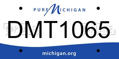 DMT1065 Michigan License Plate