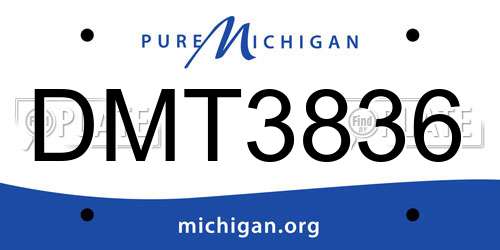 DMT3836 Michigan License Plate