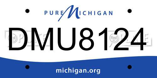 DMU8124 Michigan License Plate