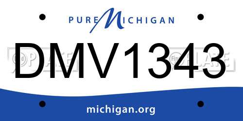 DMV1343 Michigan License Plate