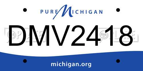 DMV2418 Michigan License Plate