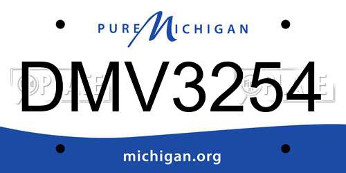 DMV3254 Michigan License Plate
