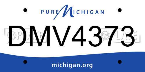 DMV4373 Michigan License Plate