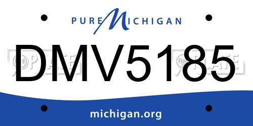 DMV5185 Michigan License Plate