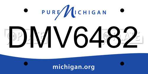 DMV6482 Michigan License Plate