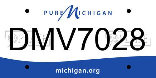 DMV7028 Michigan License Plate