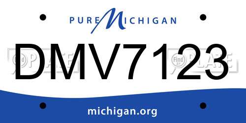 DMV7123 Michigan License Plate
