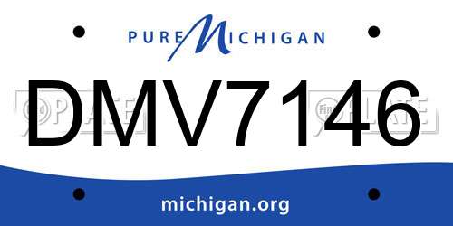 DMV7146 Michigan License Plate