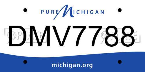 DMV7788 Michigan License Plate