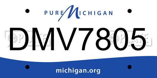 DMV7805 Michigan License Plate