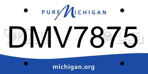 DMV7875 Michigan License Plate