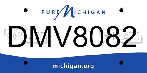 DMV8082 Michigan License Plate