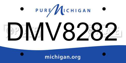 DMV8282 Michigan License Plate