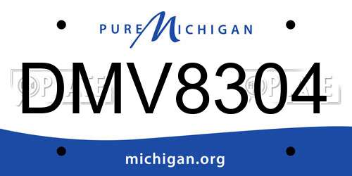 DMV8304 Michigan License Plate