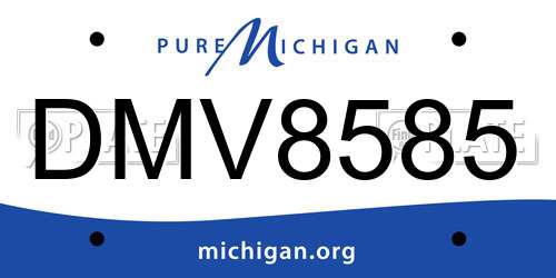 DMV8585 Michigan License Plate