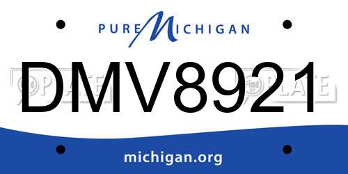 DMV8921 Michigan License Plate