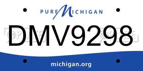 DMV9298 Michigan License Plate